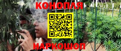 PSILOCYBIN Кумертау