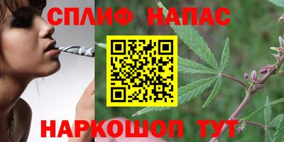 мдпв Кунгур