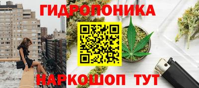 PSILOCYBIN Кумертау