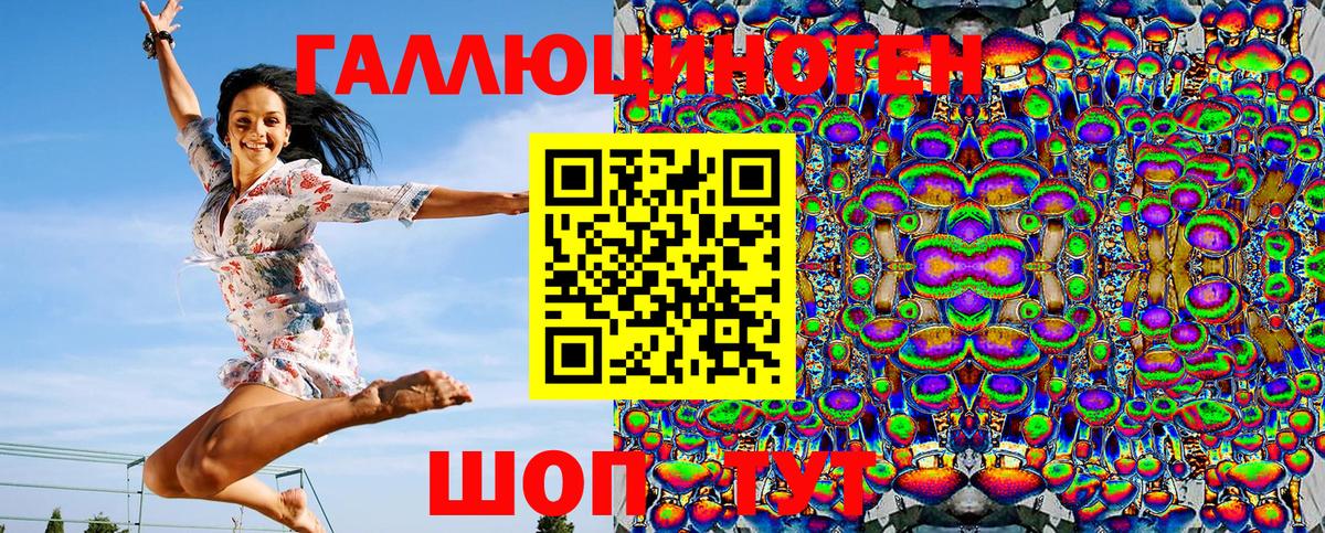 Галлюциногенные грибы Psilocybine cubensis Таганрог